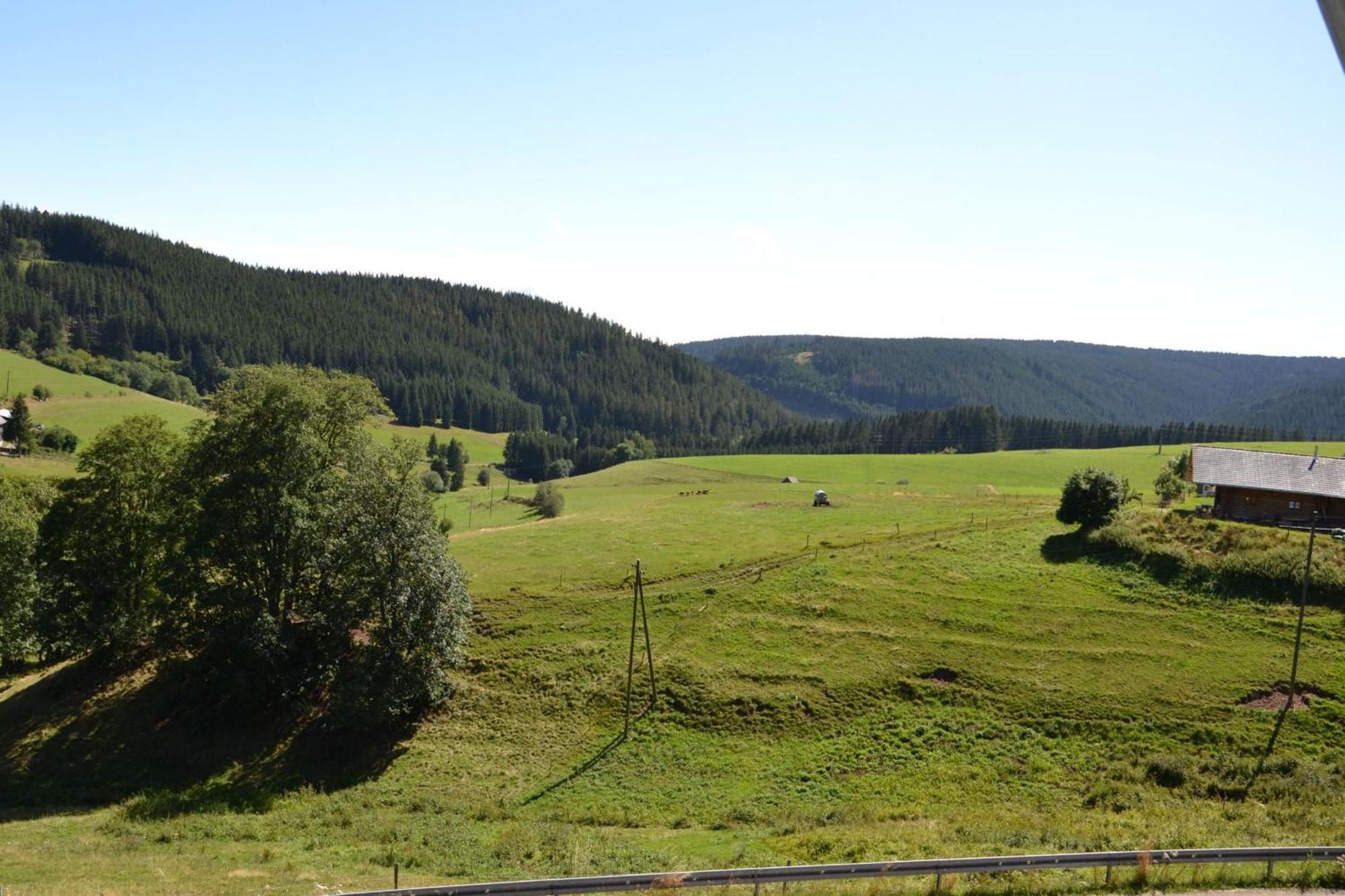Ferienwohnung Beim Pauli Titisee-Neustadt Esterno foto