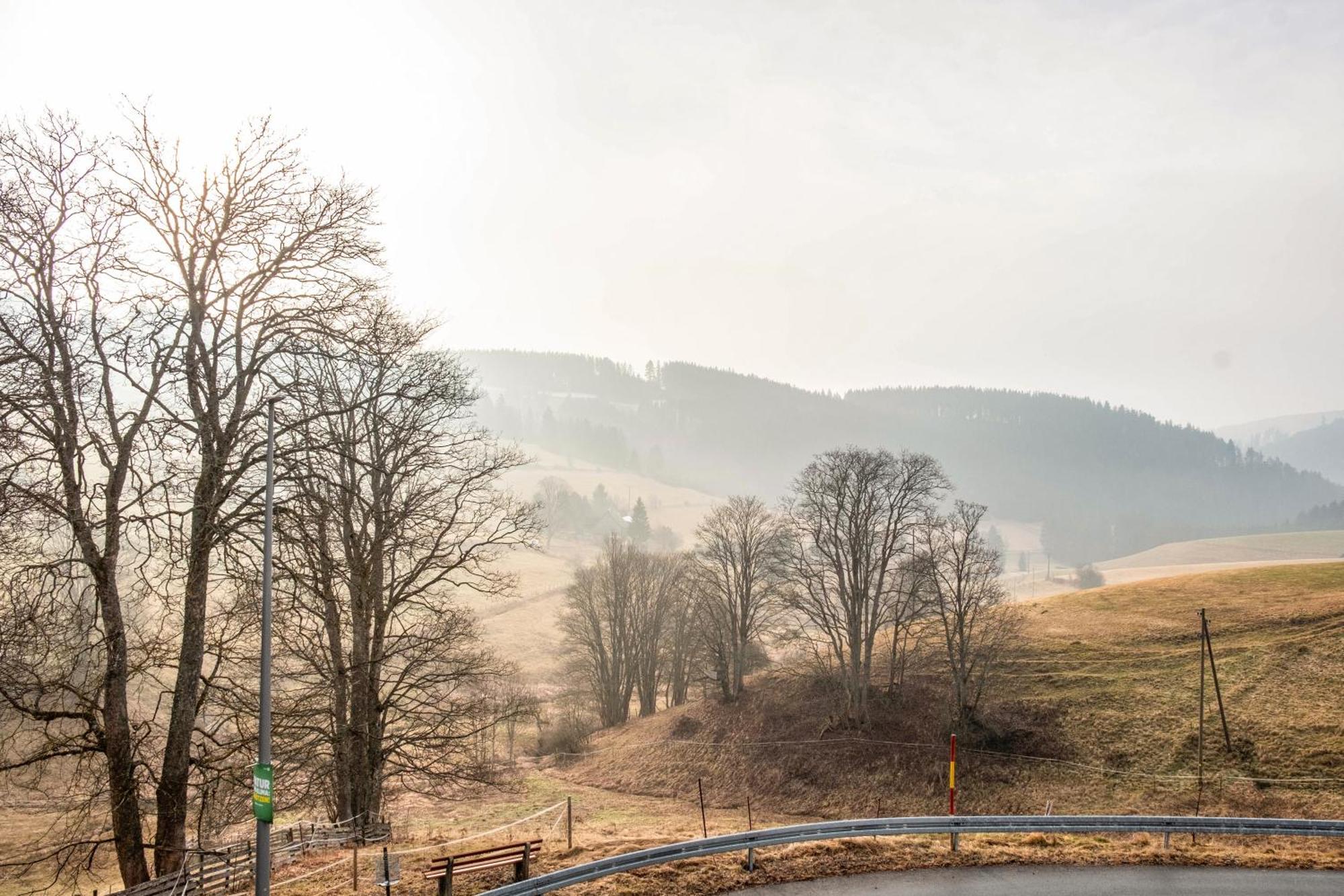 Ferienwohnung Beim Pauli Titisee-Neustadt Esterno foto
